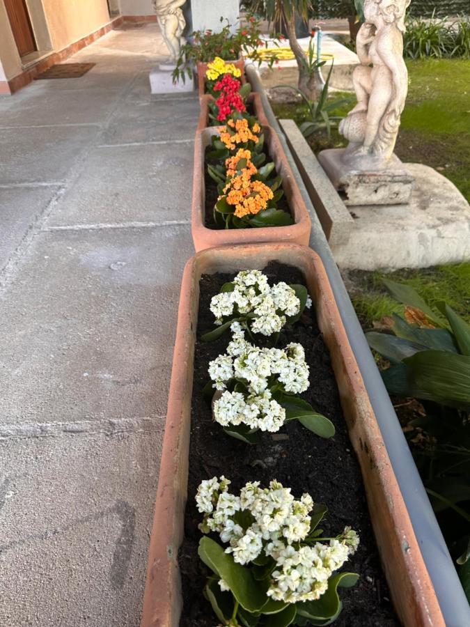 Ajoaolbia B&B Zewnętrze zdjęcie