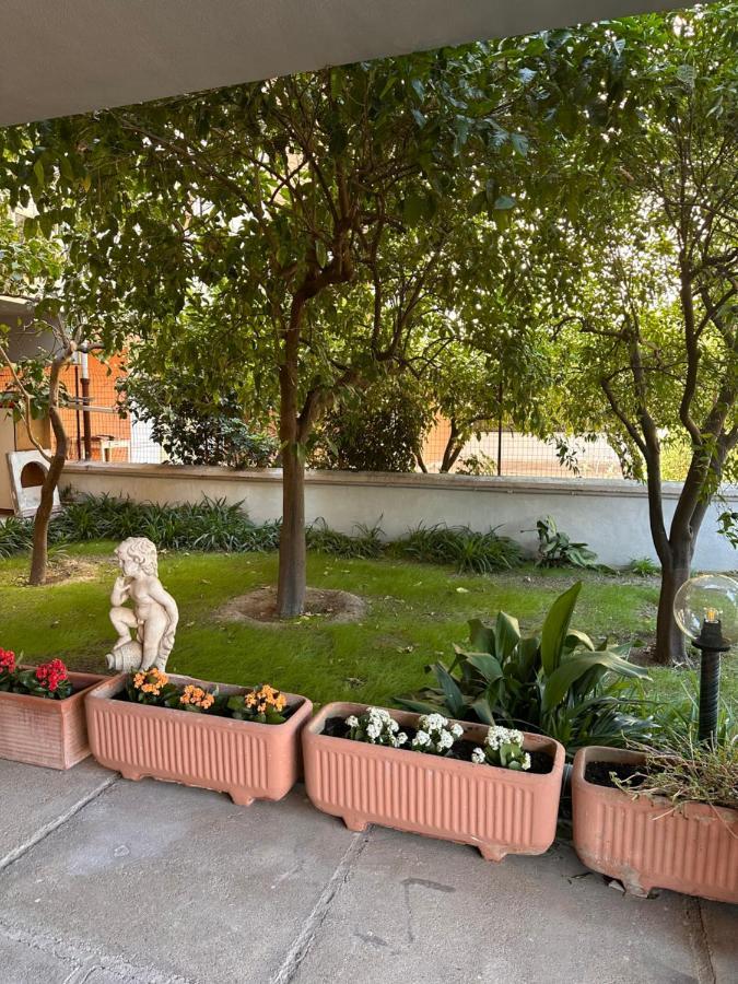 Ajoaolbia B&B Zewnętrze zdjęcie
