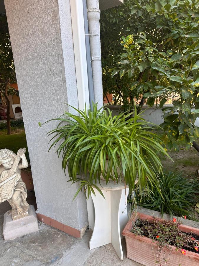 Ajoaolbia B&B Zewnętrze zdjęcie